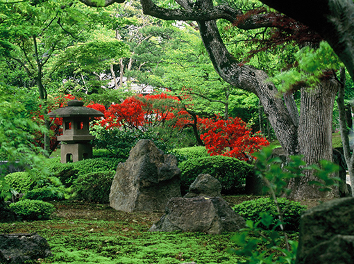 日本庭園 由志園